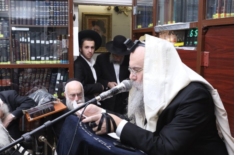 באדיבות המצלם