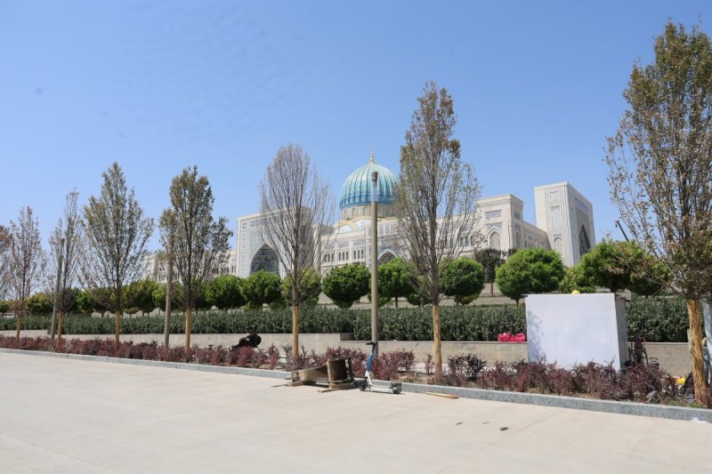 מרדכי לובעצקי