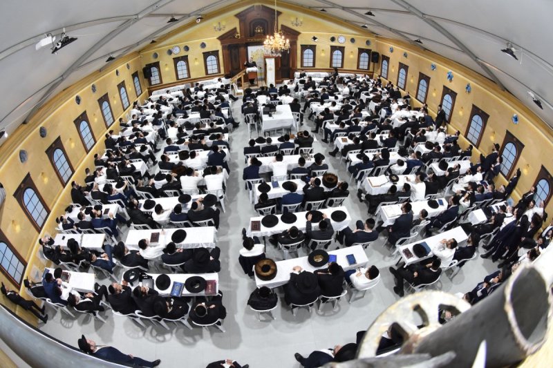 יהודה פרקוביץ