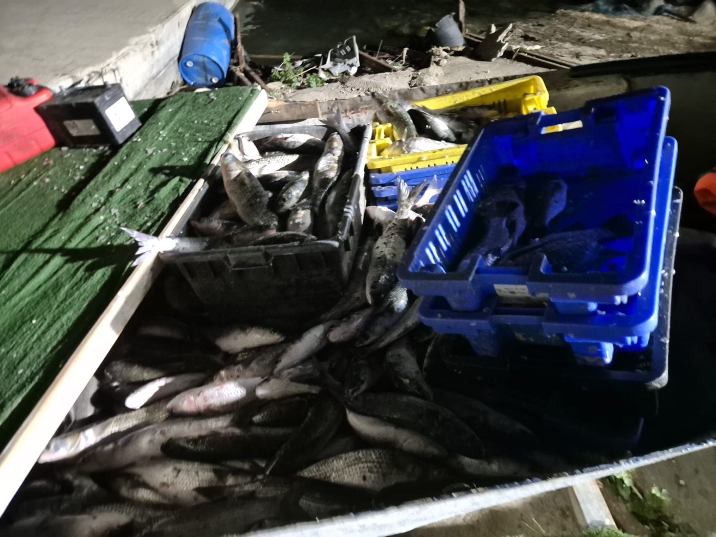 רט"ג / דוברות המשטרה