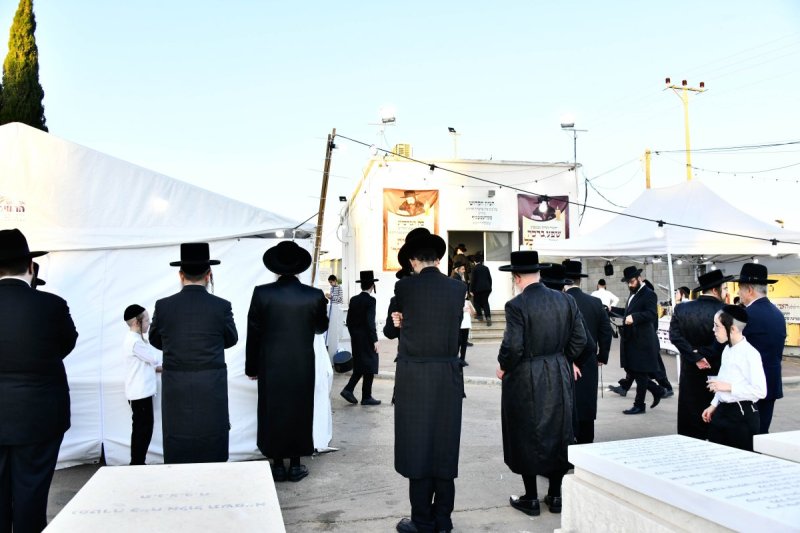 שוקי לרר