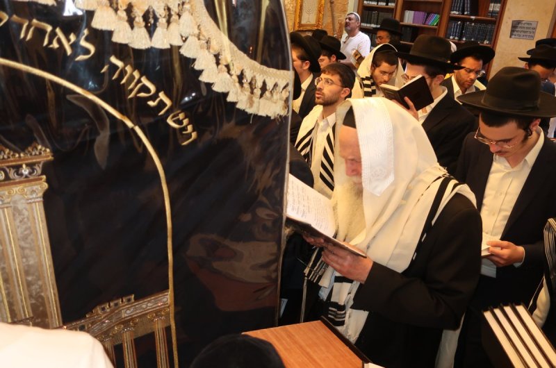 ש.פ.ה