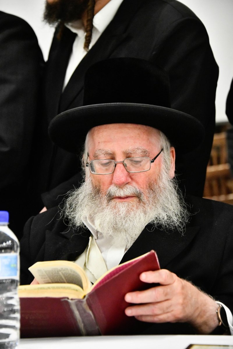 שוקי לרר
