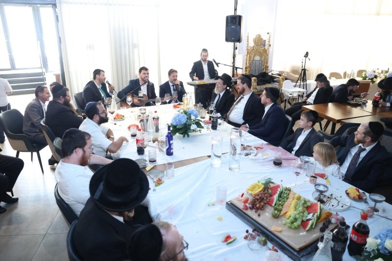 קובי הר צבי