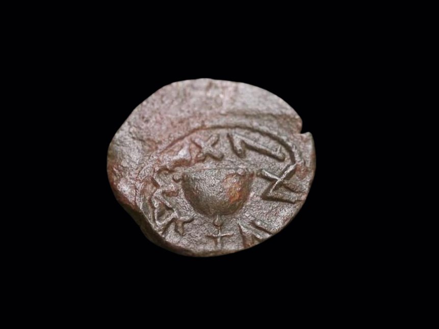 אמיל אלג'ם, רשות העתיקות