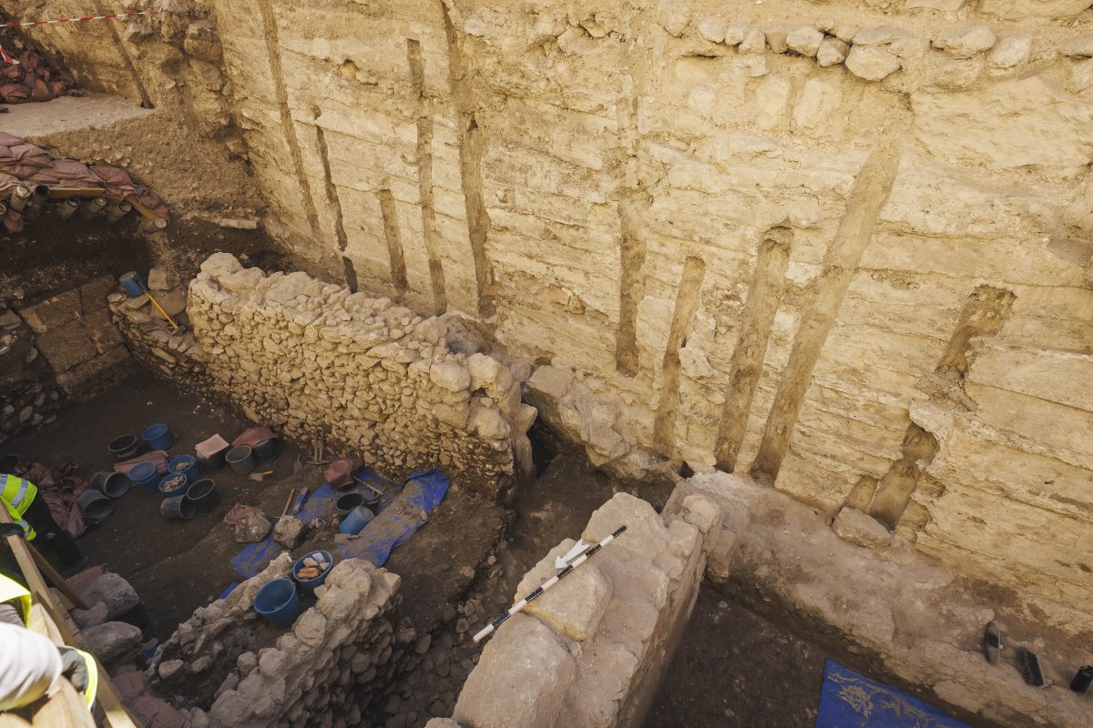 אליהו ינאי, עיר דוד