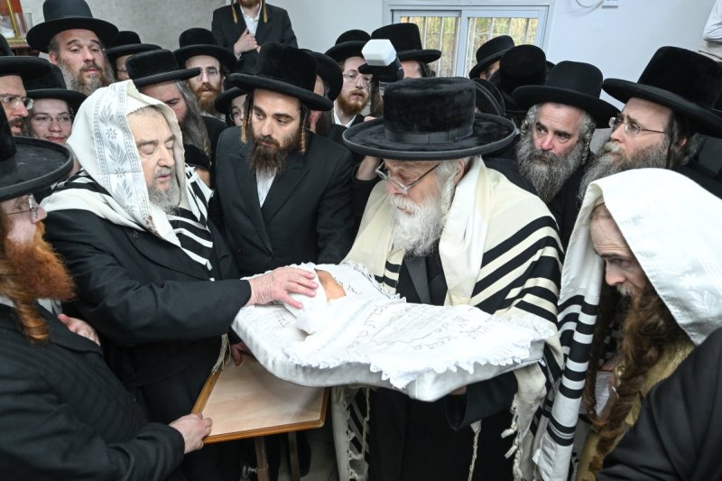 משה גולדשטיין