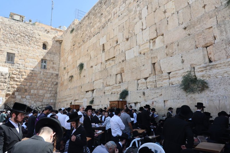 מרדכי לובעצקי