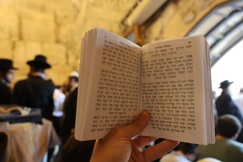 מרדכי לובעצקי