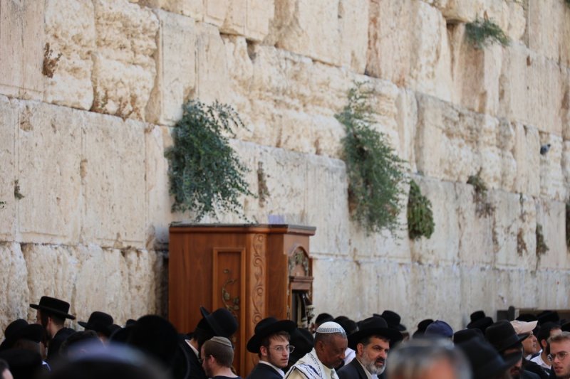 מרדכי לובעצקי