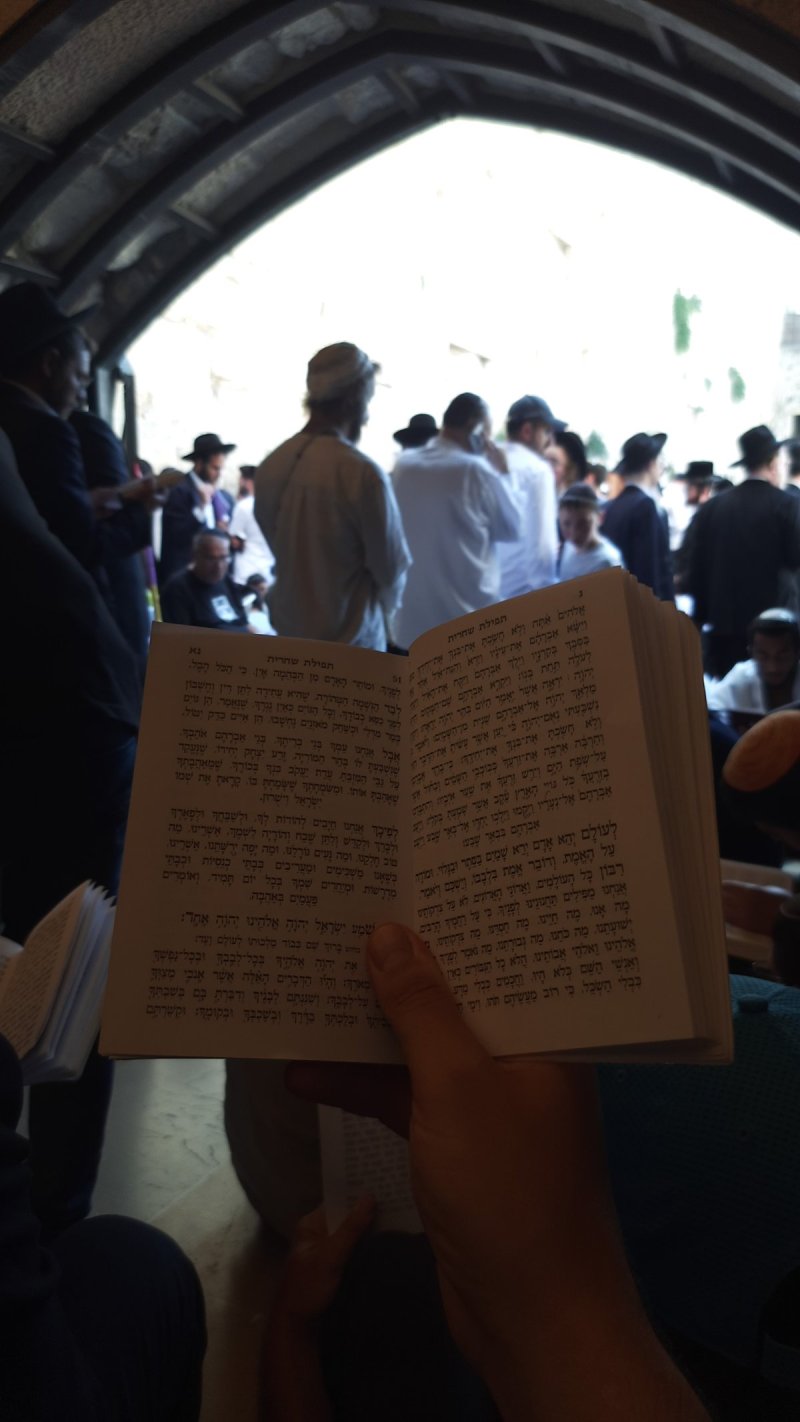 מרדכי לובעצקי