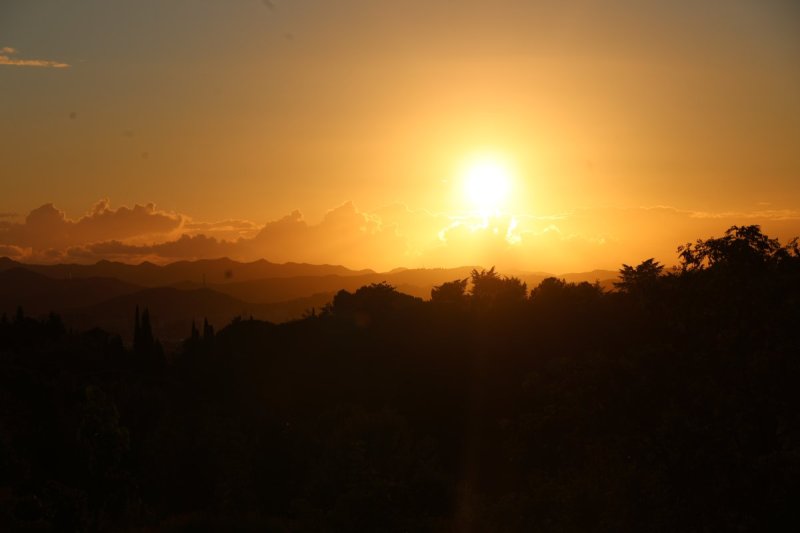 מרדכי לובעצקי