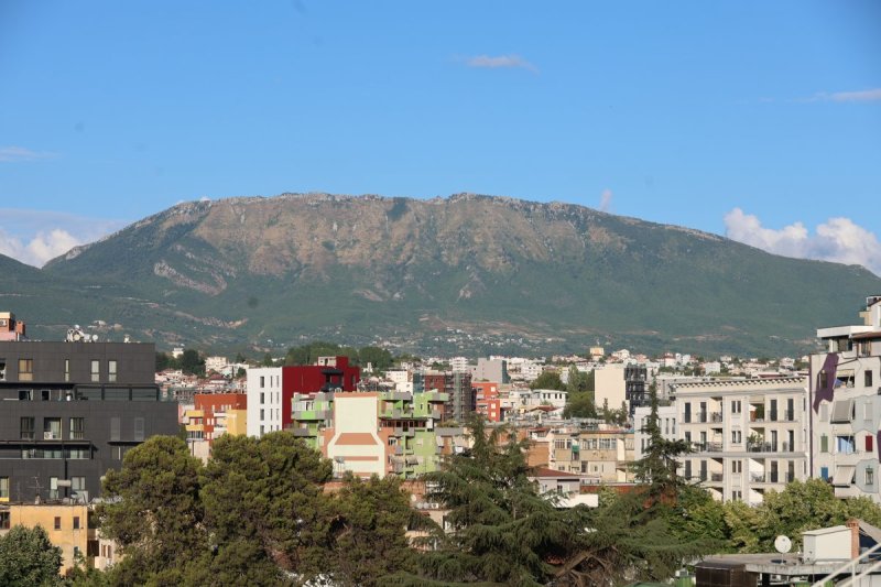 מרדכי לובעצקי