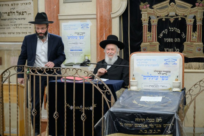מנדי רוט