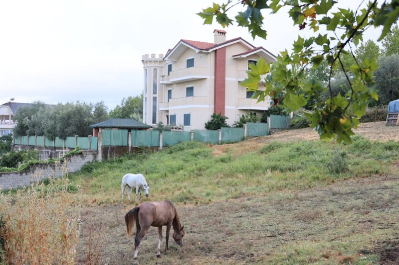 מרדכי לובעצקי