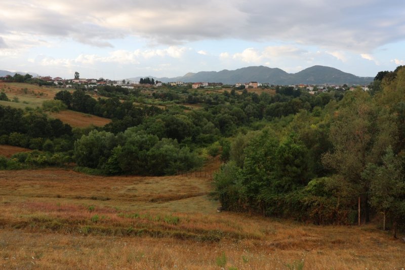 מרדכי לובעצקי