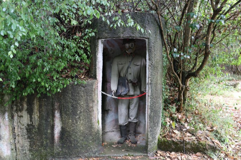 מרדכי לובעצקי