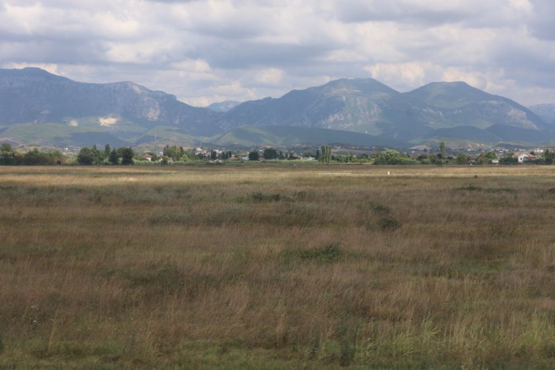 מרדכי לובעצקי