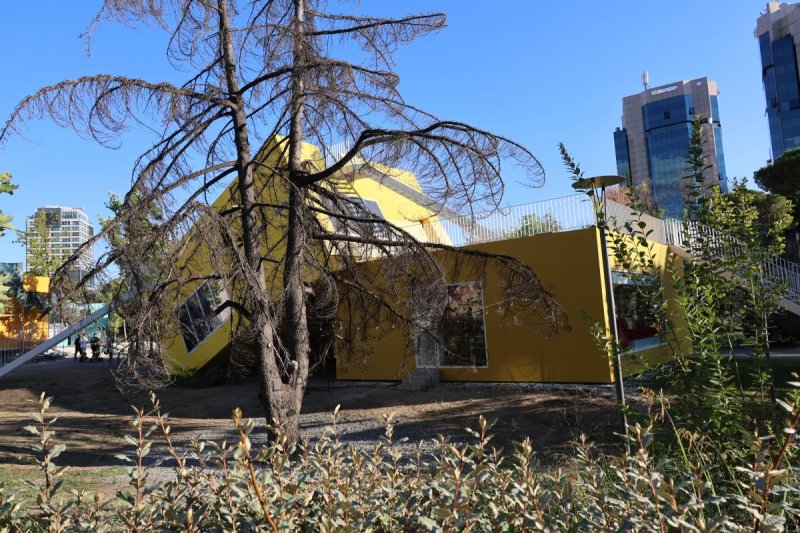 מרדכי לובעצקי