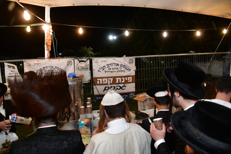 יוסי לוי