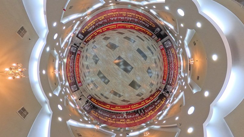 דניאל נפוסי