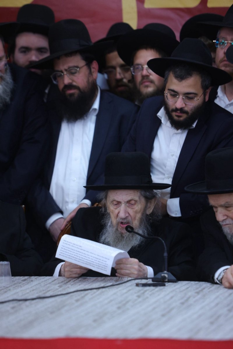 שוקי לרר, דניאל נפוסי, דוד מנדלסון