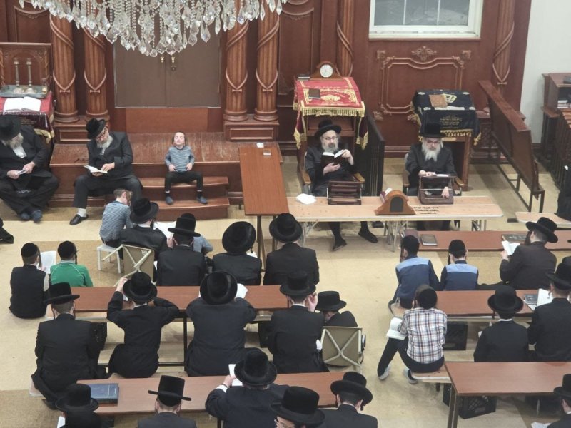 באדיבות המצלם