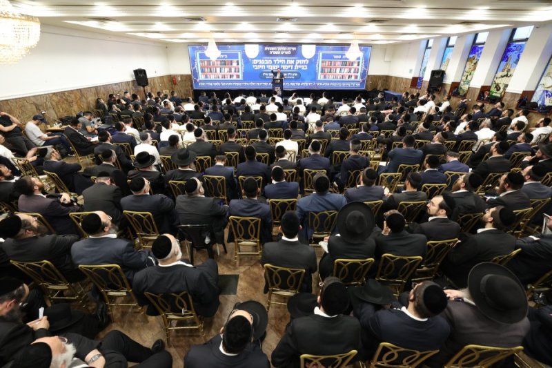 קובי הר צבי