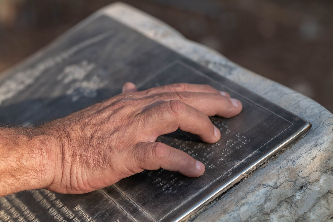 בוני שניימן, ארכיון קק"ל