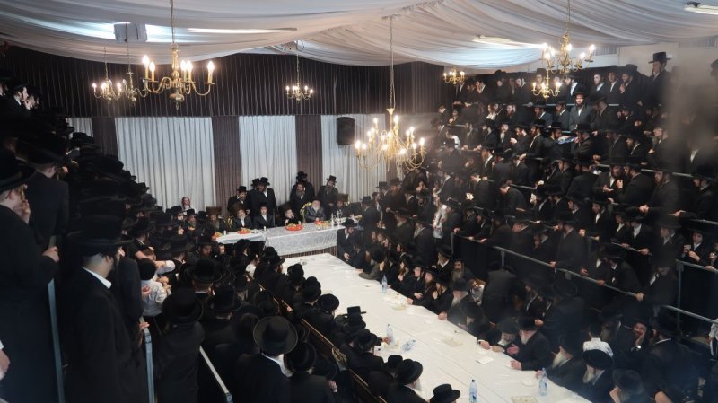 יוסי זליגר ודודי שמואל