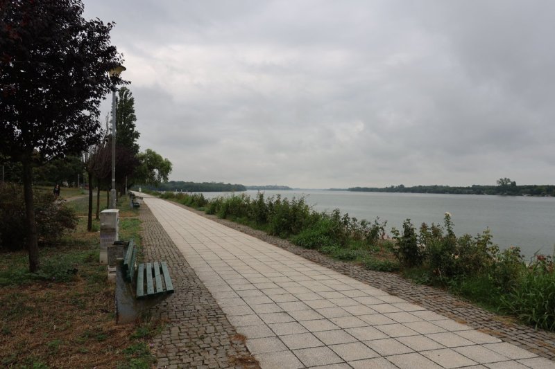 מרדכי לובעצקי