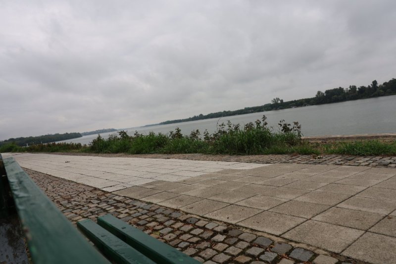 מרדכי לובעצקי