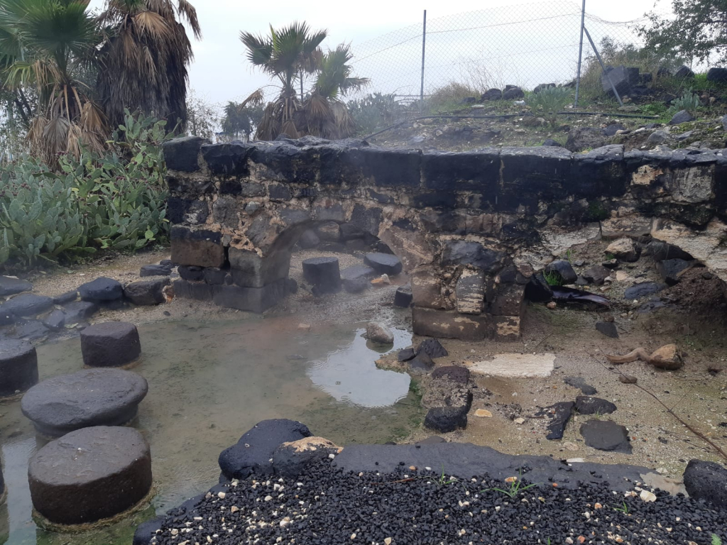 זיו לוי רשות הטבע והגנים