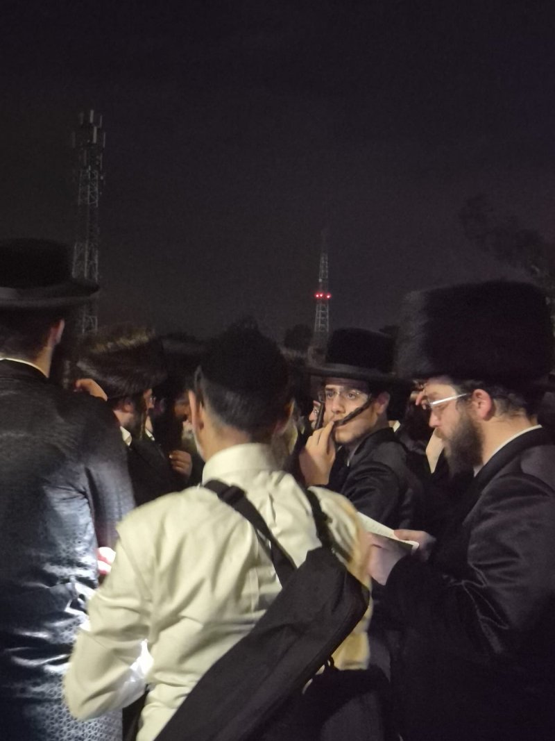 דניאל גרובייס - גל"צ