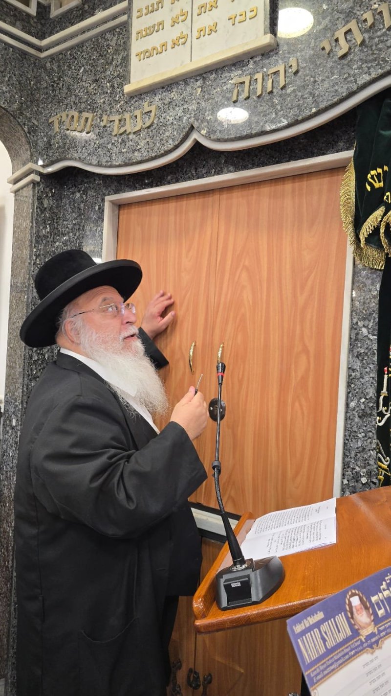 באדיבות המצלם