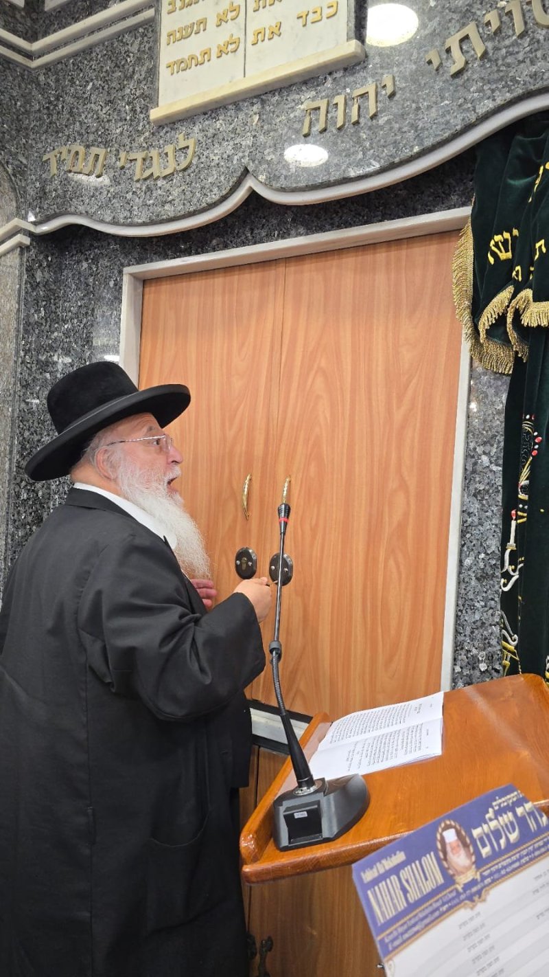 באדיבות המצלם