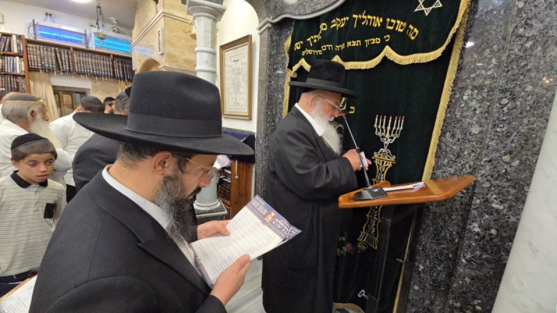 באדיבות המצלם