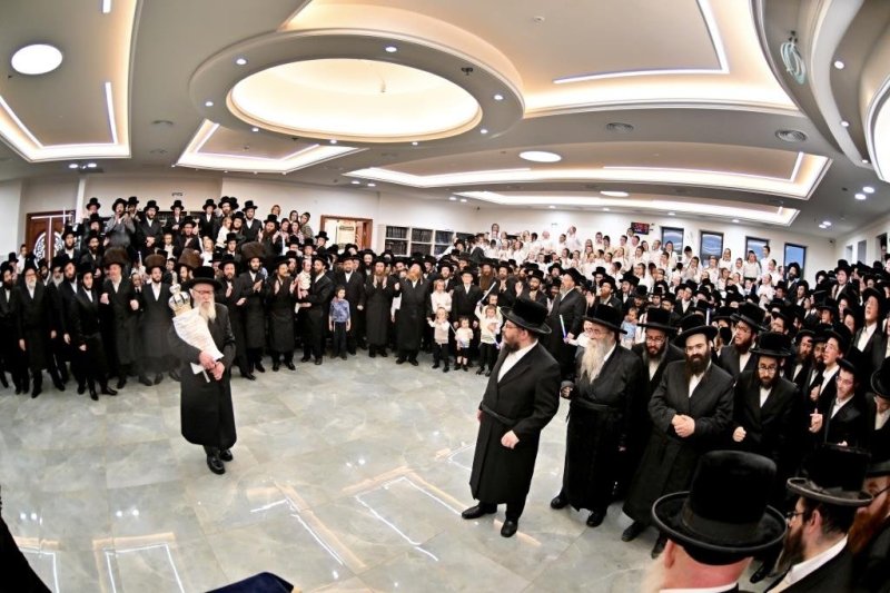 יהושע פרוכטר