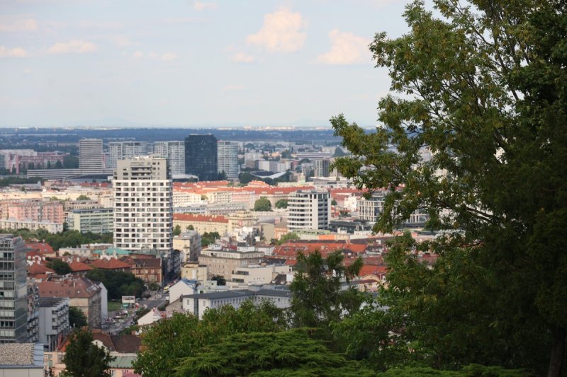 מרדכי לובעצקי