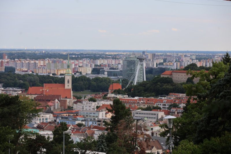 מרדכי לובעצקי