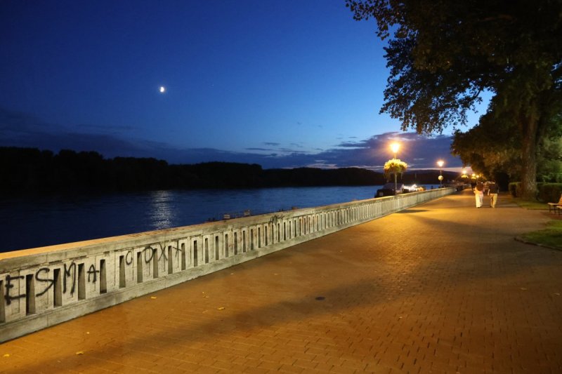 מרדכי לובעצקי