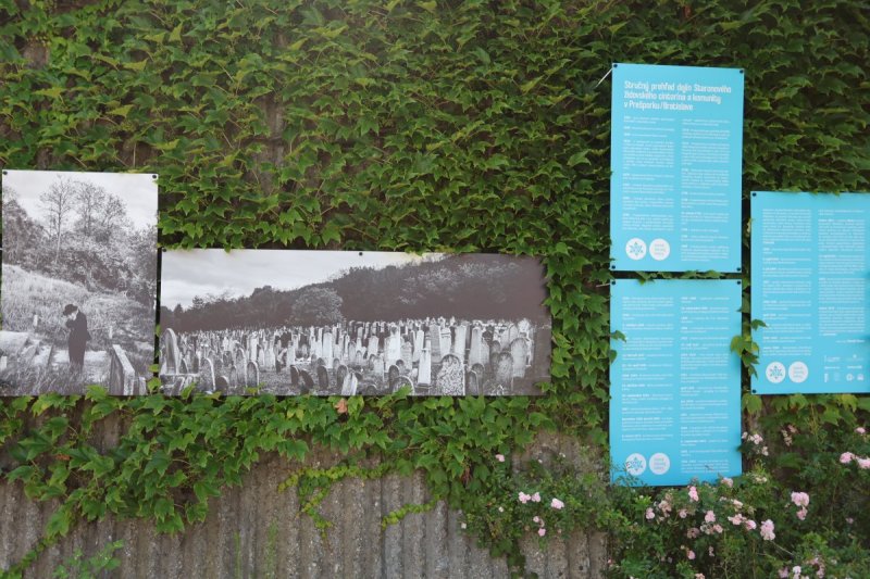 מרדכי לובעצקי