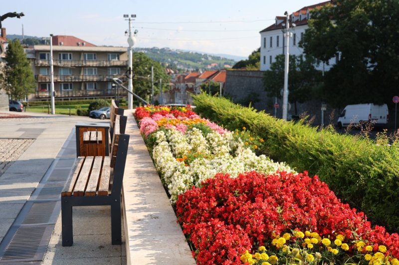 מרדכי לובעצקי