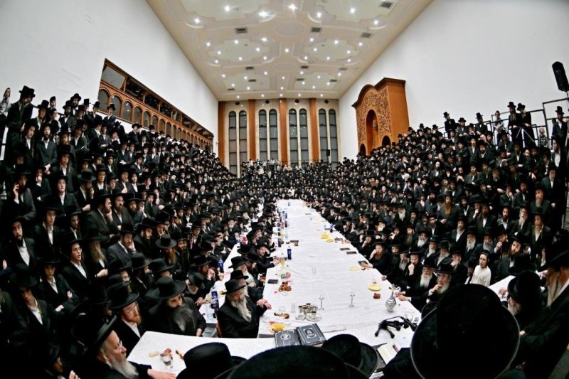 יהושע פרוכטר