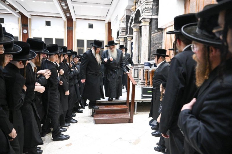 משה גולדשטיין