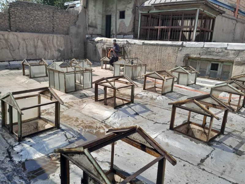 הקהילה היהודית בטהראן