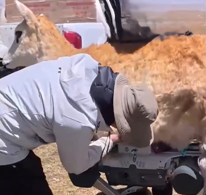 צילום מסך רשתות חברתיות 