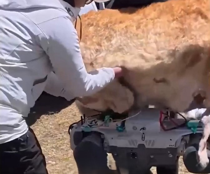 צילום מסך רשתות חברתיות 