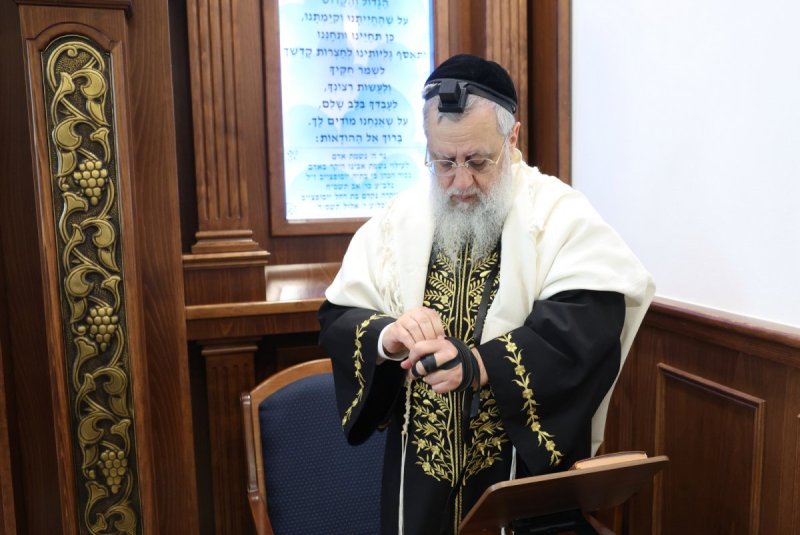 יעקב כהן