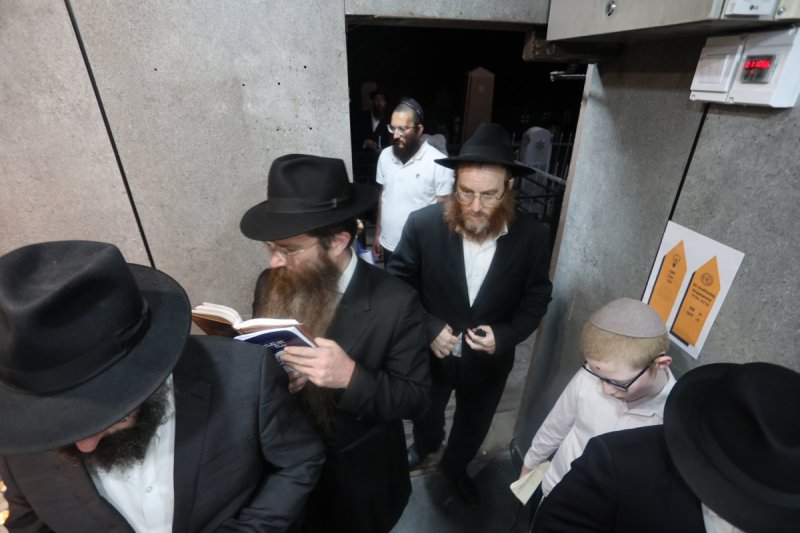 מרדכי לובעצקי